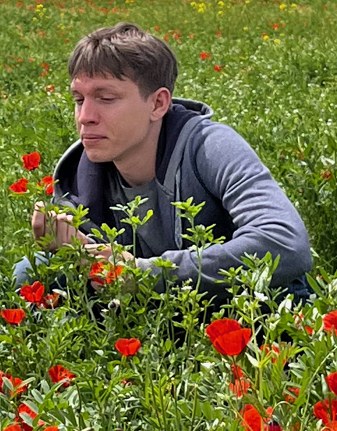 Enjoying a poppy field